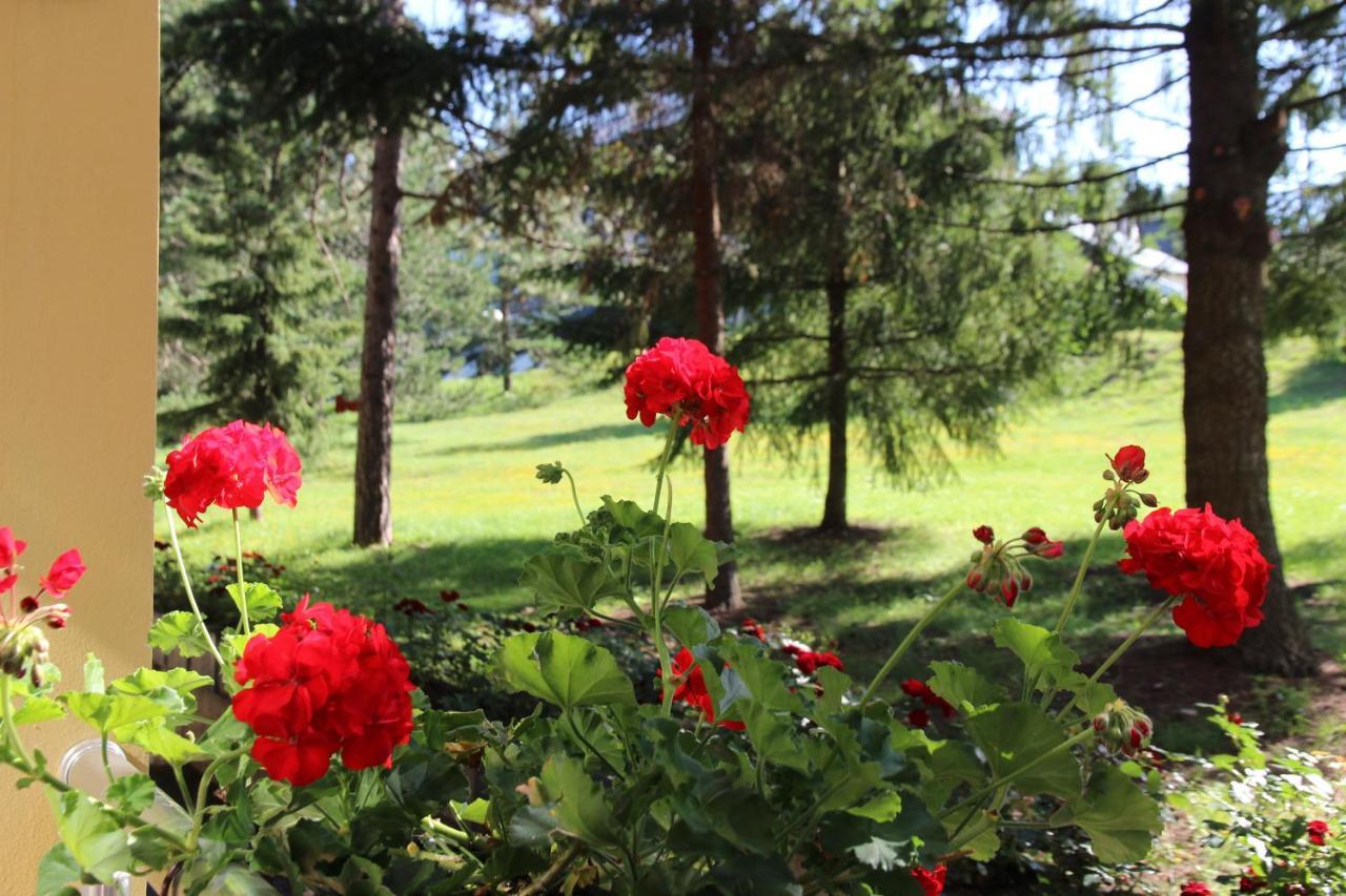 Hotel President Garni Zlatibor Esterno foto
